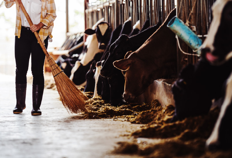 Agrari-distribucio-de-productes-agricoles-agricultura-ramaderia-setna-higiene-vaques